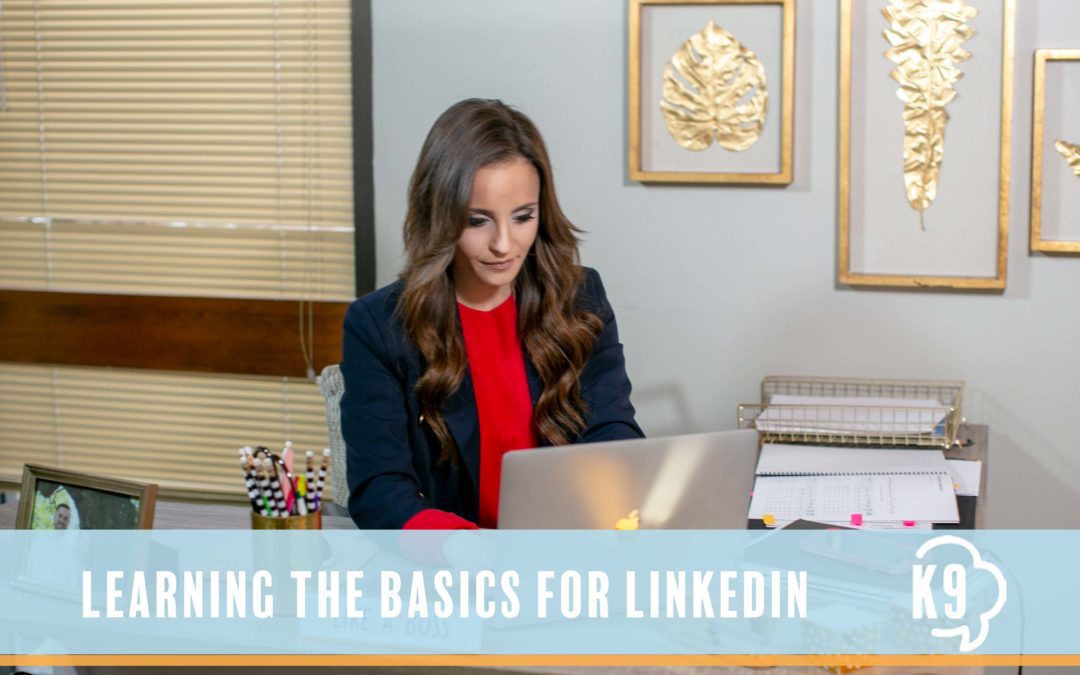 LinkedIn for Your Business: The Basics